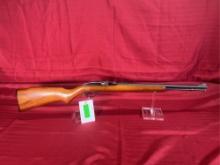 Marlin 60 22 LR Rifle