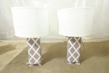 Pair of Glass Grey & White Lamps