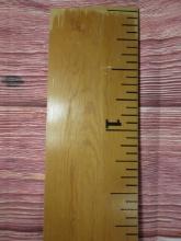 6' Store Display Ruler