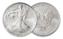 2010 American Silver Eagle.999 Fine Silver Dollar Coin
