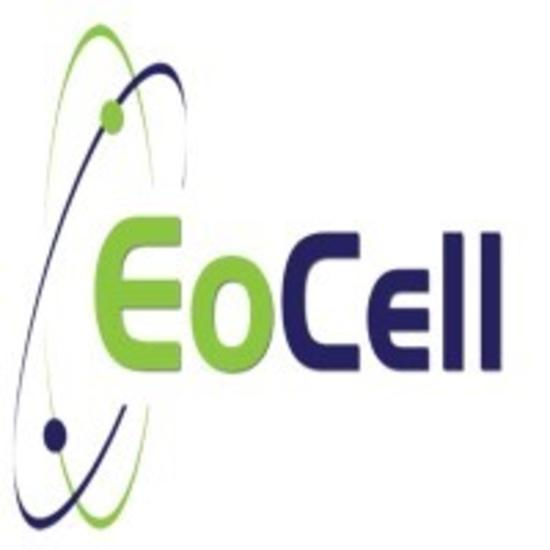 EoCell LIQUIDATION AUCTION