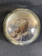 Oregon coast highway "sea lion cave paper weight