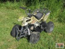 Zhejiang 2012 Camo ATV 110cc (Unknown) *N