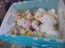 Large Flip-Fold Top Storage Tote Full of Assorted Sea Shells