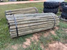 Bundle of Treated Posts