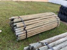 Bundle of Treated Posts