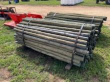 Bundle of Treated Posts