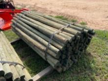 Bundle of Treated Posts