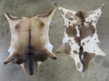 2 Nice Brand New Goat Hides (ONE$) TAXIDERMY