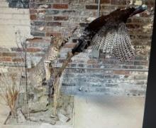 Awesome looking leaping Bobcat after a flying Turkey ! 52 inches tall x 77 inches long overall, turk