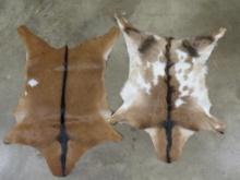 2 Brand New Goat Hides (ONE$) TAXIDERMY