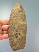 Cache Blade 14 of 16- 6 3/8" Petalas Blade, Argillite, Found Mt. Laurel, Bur. Co., NJ, Ex: Middleton