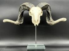 Bighorn Sheep Skull Statue on Glass Base