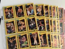 1991 WCW Wrestling Card Set #1-#162