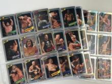 WWE 2008 Topps Chrome Heritage Complete Set + Allen and Ginter Chrome