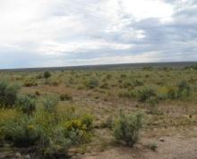 Texas 20 Acre Land Investment near Dell City and Highway in Hudspeth County! Low Monthly Payments!