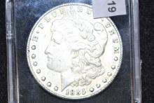 1885-S Morgan Dollar; XF
