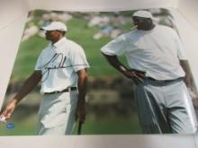 Tiger Woods PGA signed autographed 16x20 photo TAA COA 190