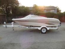 LARSON 18' 10-SEAT SKI BOAT