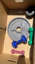 Box Lot of Assorted Weights