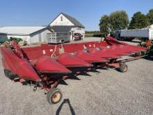 2010 CaseIH 3408 corn head