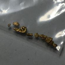 Gold Nugget Lot Alaskan Yellow Top End