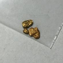 Gold Nugget Lot Alaskan Yellow Top End