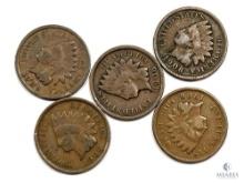 Five 1906 Indian Head Cents