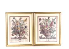 2 Botanical Prints incl November and December