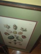 (MBR) LOT OF ASSORTED WALL HANGING DECORATIONS INCLUDING MAY FLOWERS OF THE MONTH, SEASHELLS FRAMED