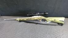 Ruger 10/22 with Bushnell Sportview.22LR